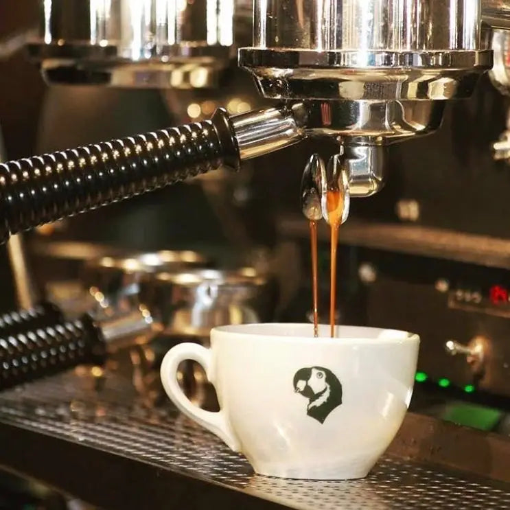 Espresso