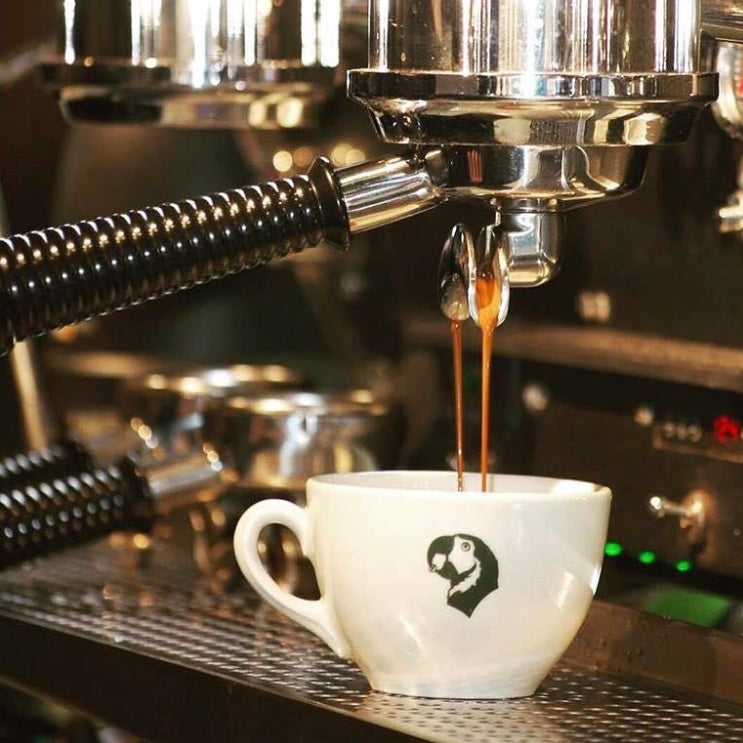 A modern café or office serving freshly brewed Brazilian coffee, enhancing the coffee experience for customers and employees.