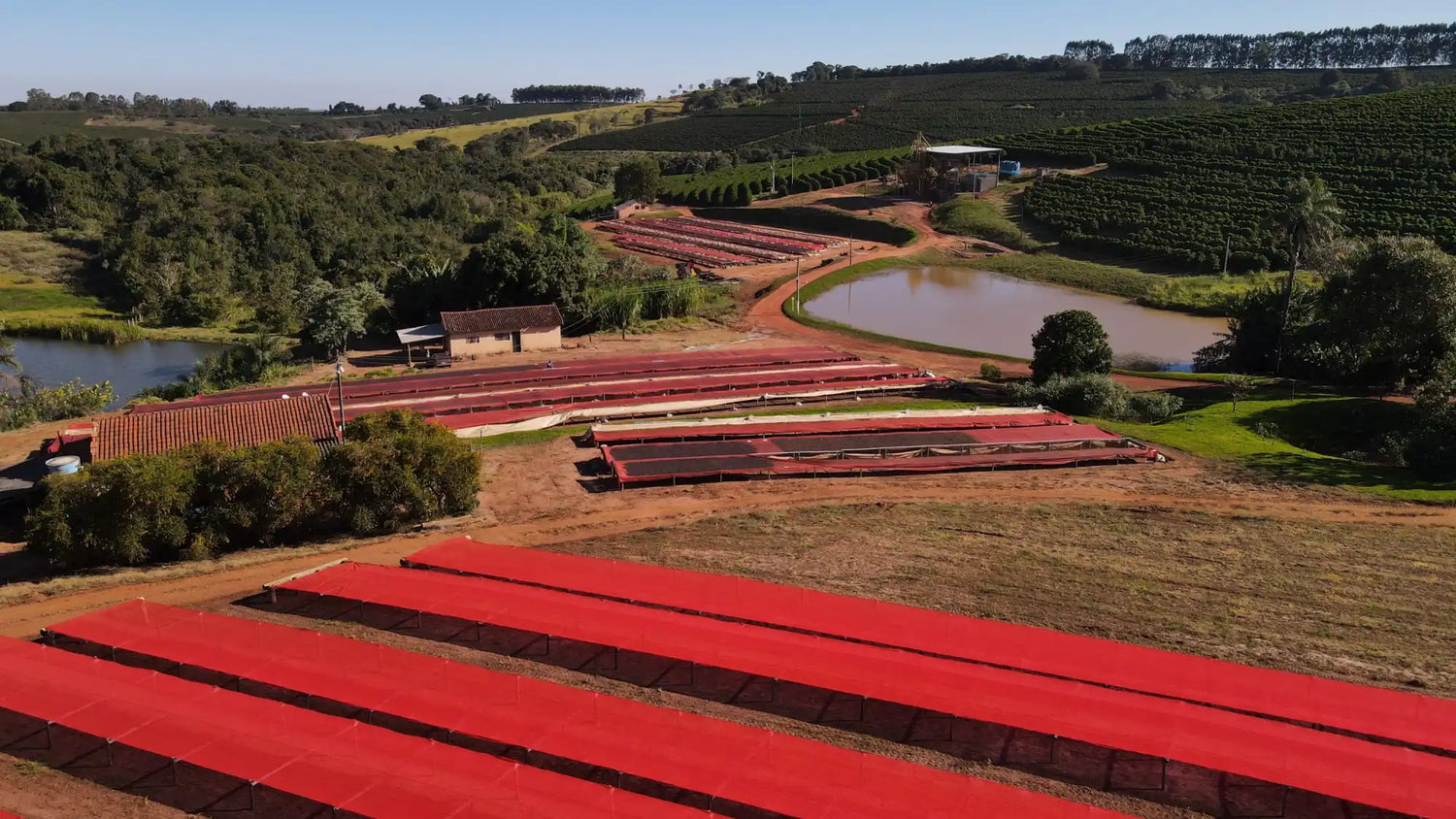 Red drying beds.