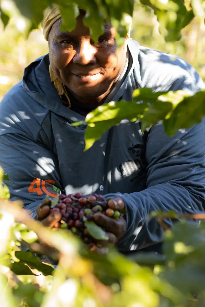 Smiling woman holding coffee cherries.